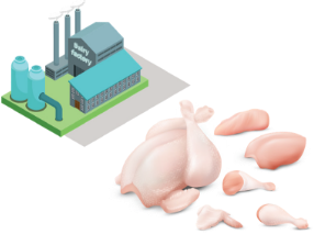 Interchick chicken processing plant