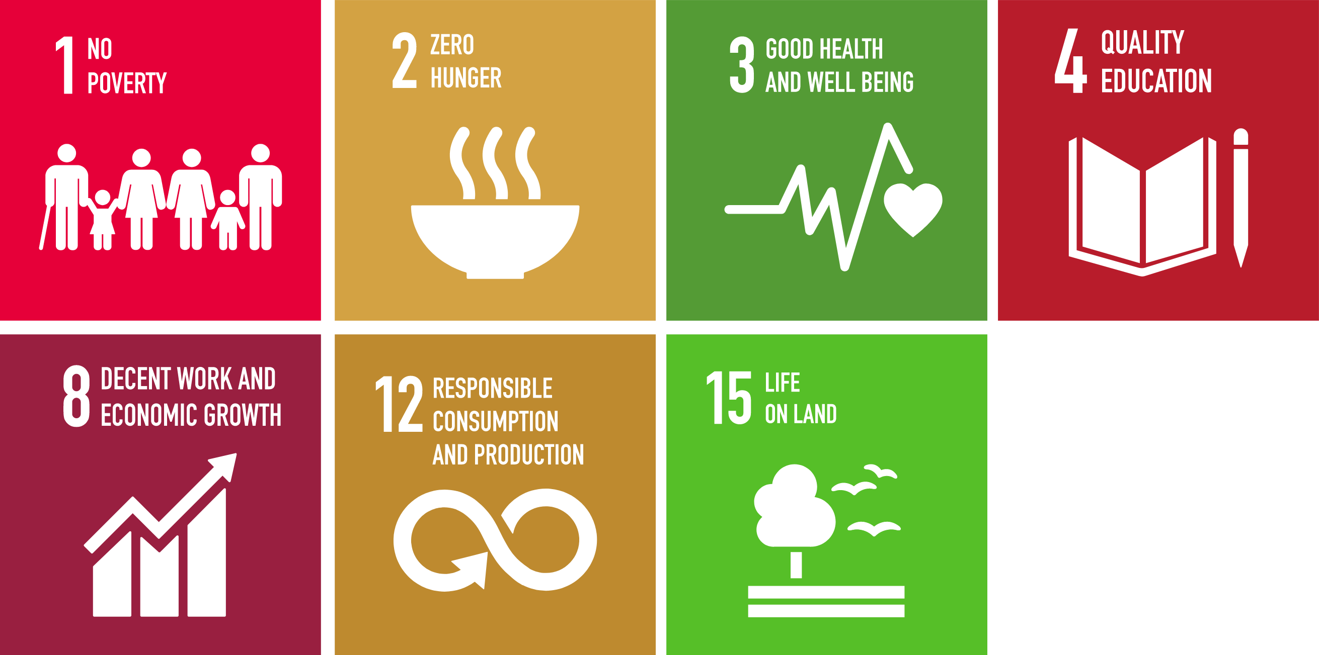 UN SDGs that Interchick Chicken Tanzania is focused on.